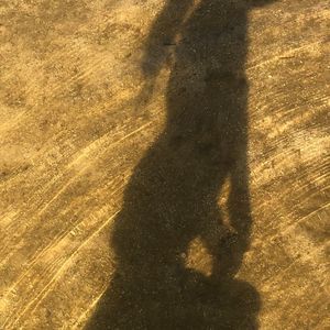 Meet your Posher, Sandy